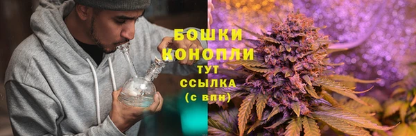 прущая мука Нея